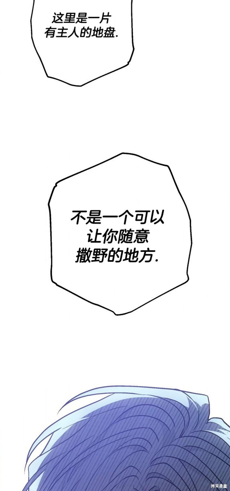 77.jpg
