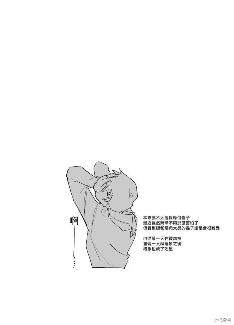 31.jpg