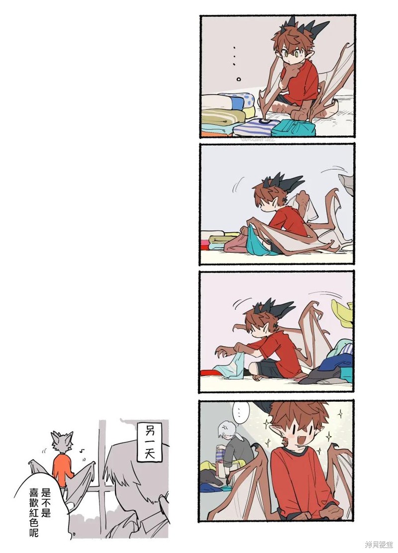 15.jpg