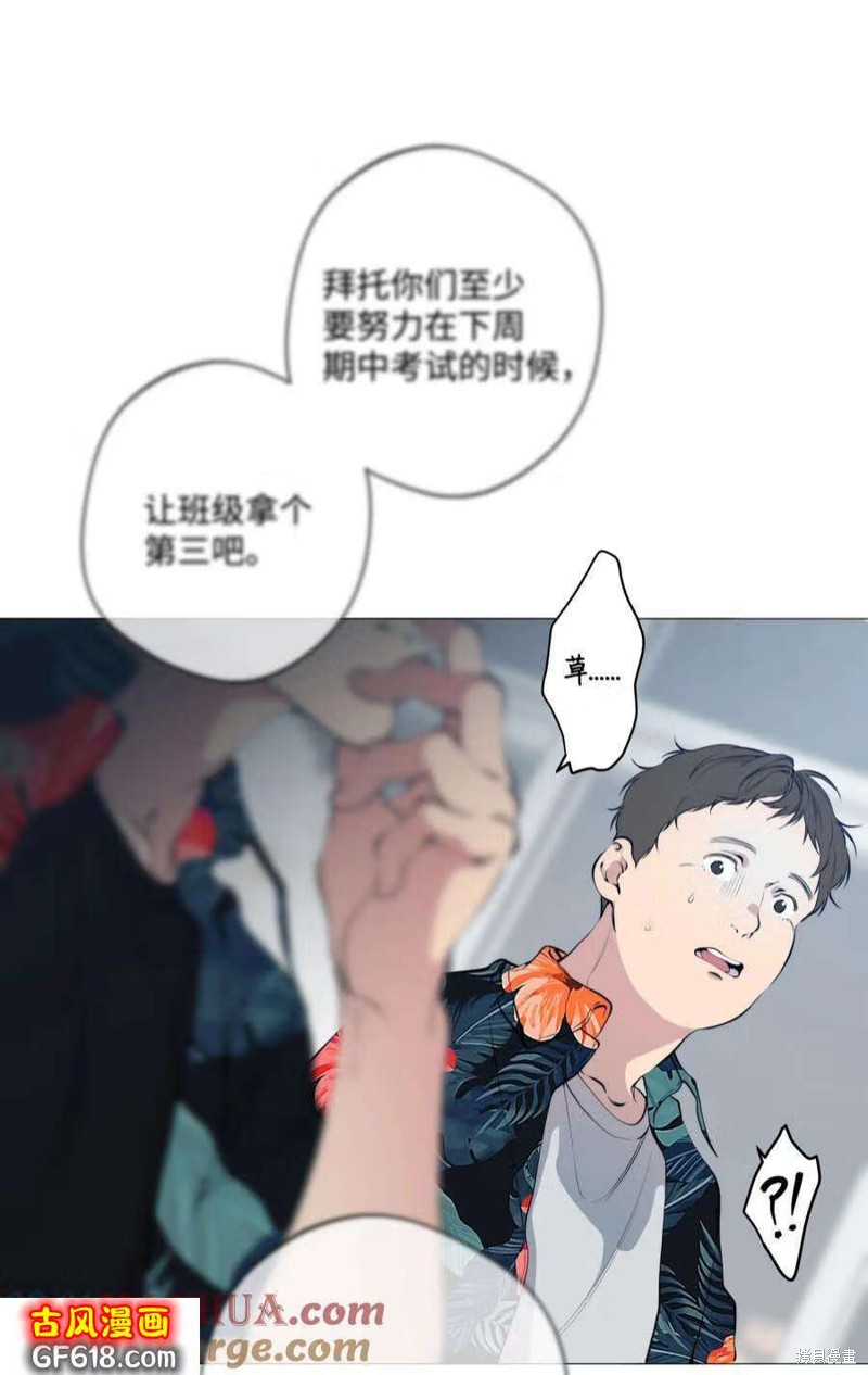 28.jpg