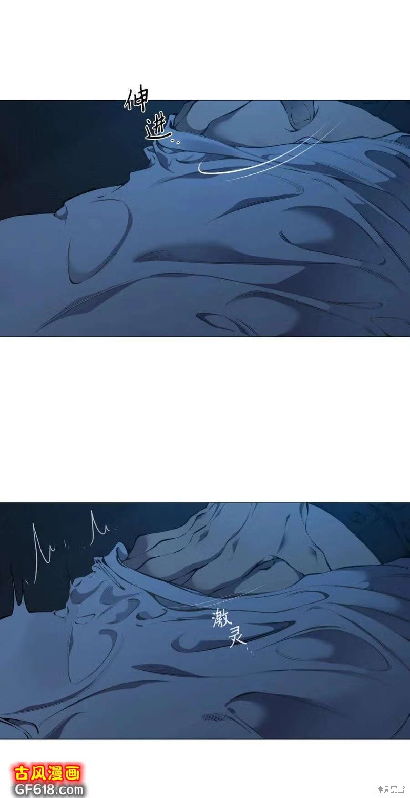 48.jpg