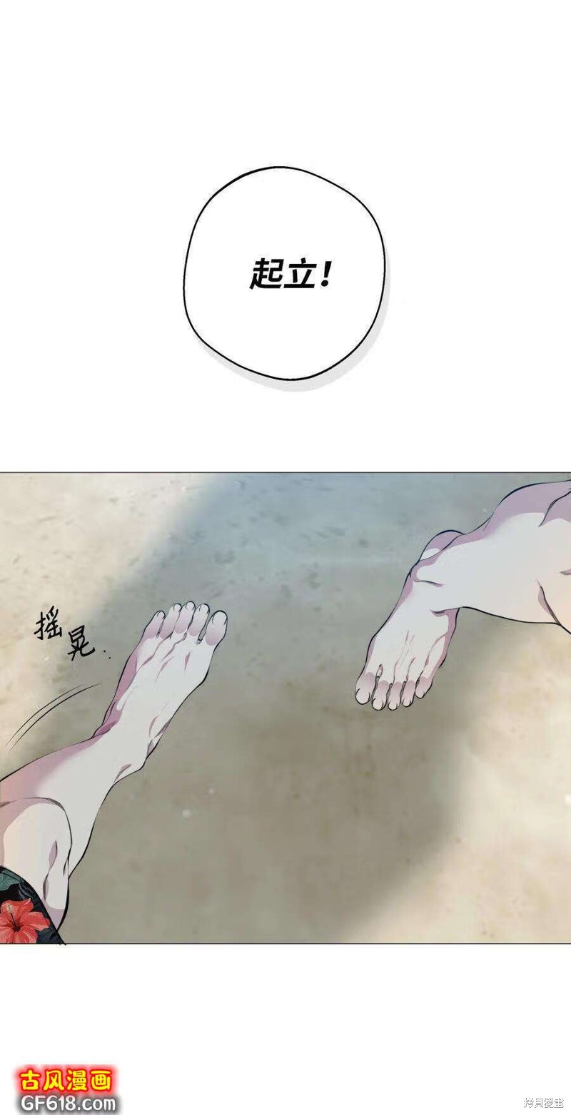 45.jpg