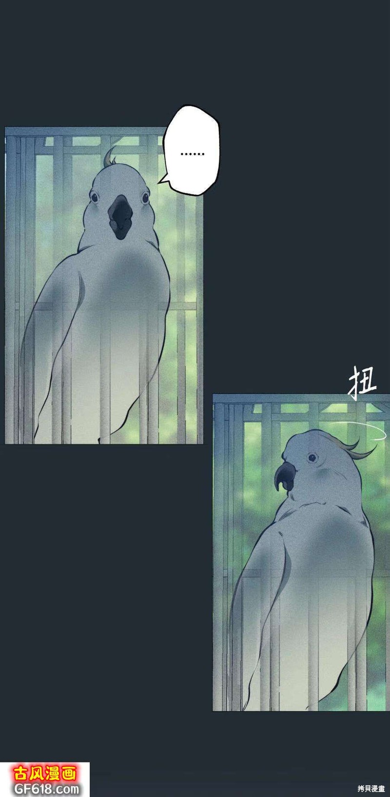 63.jpg