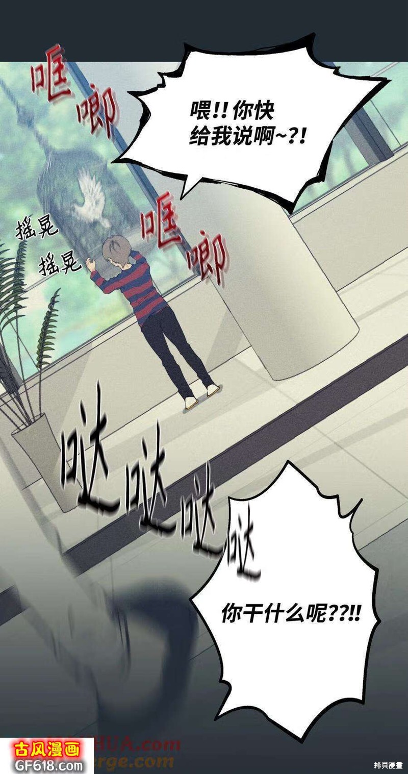 67.jpg
