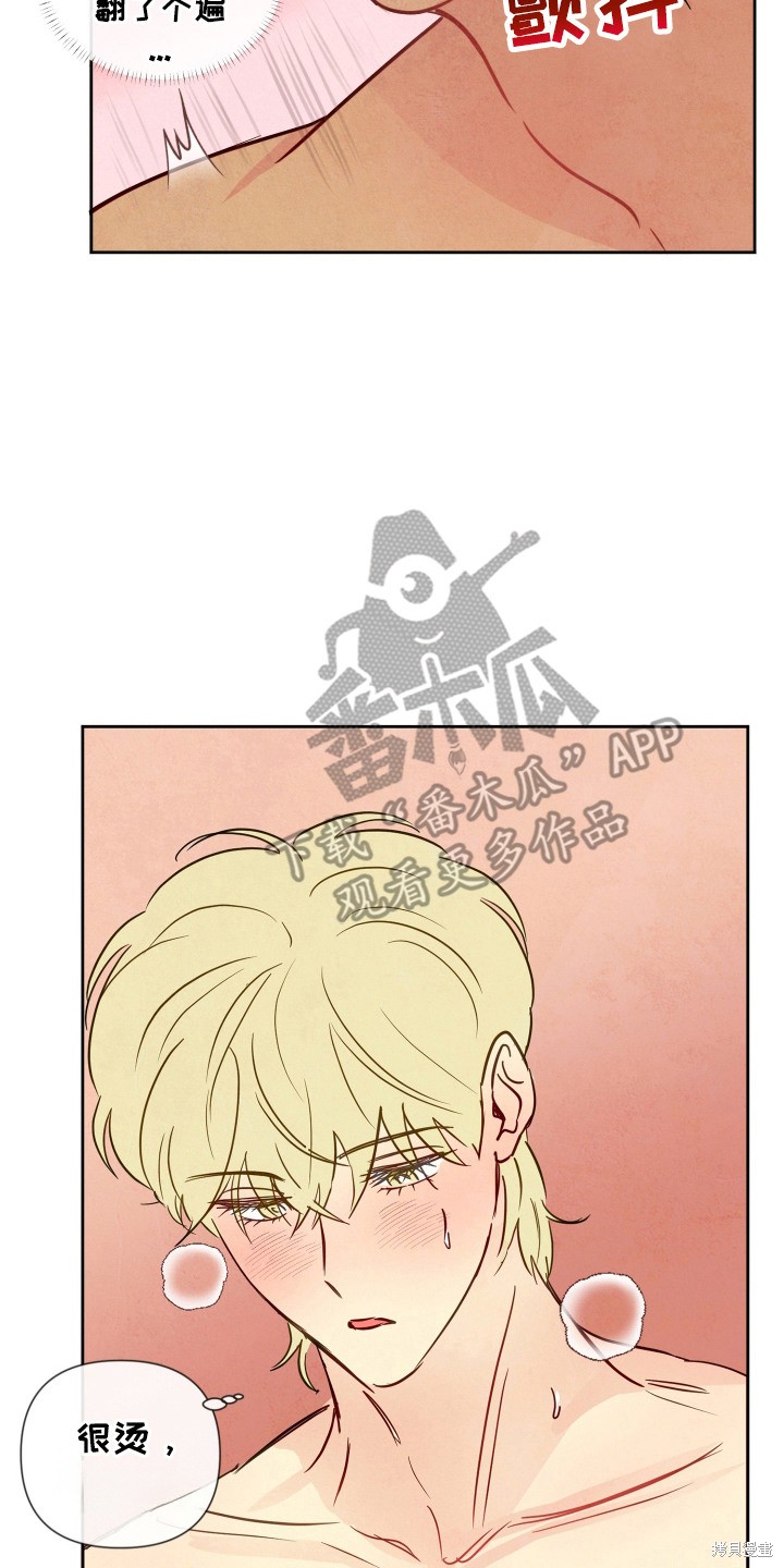 14.jpg