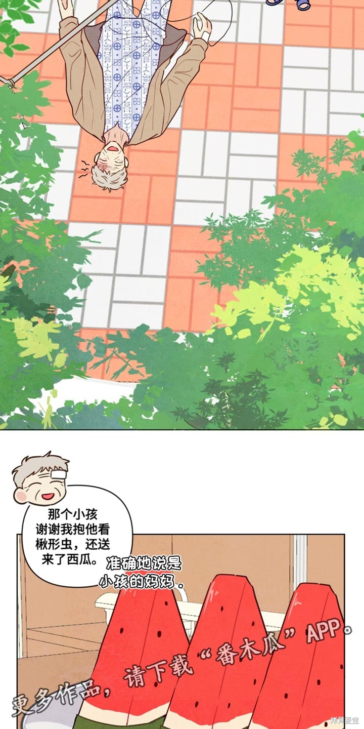 20.jpg